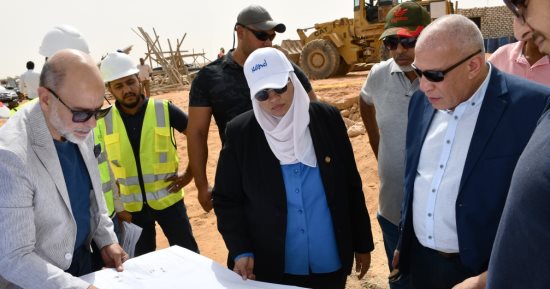 "تنمية الصعيد" ومحافظة أسوان يتفقدان مشروع المنطقة اللوجستية بكركر.. صور
