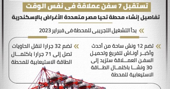 محطة تحيا مصر متعددة الأغراض بالإسكندرية تستقبل 7 سفن عملاقة فى توقيت واحد.. إنفوجراف