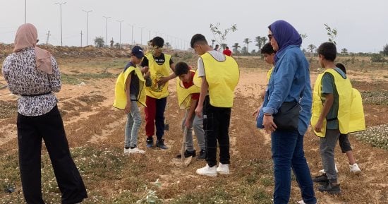 ضمن فعالياتها بمحافظة شمال سيناء..الشباب والرياضة تساهم فى إعمار سيناء بزراعة ألف شجرة زيتون