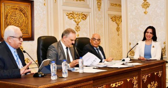 استجابة لنائبة التنسيقية.."الرقابة المالية'" تعلن إصدار قرار بتعديل المعيار المحاسبى فى تقييم أصول الشركات  
