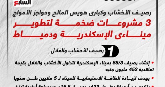 3 مشروعات ضخمة لتطوير ميناءى الإسكندرية ودمياط.. إنفوجراف 