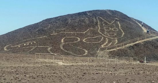 الذكاء الاصطناعى يكشف عن 4 أشكال جديدة من نازكا فى بيرو