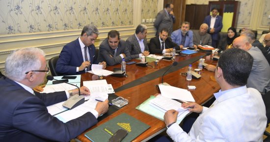 الزراعة: طرح 77 ألف فدان للاستثمار الزراعى والصناعى والحيوانى بالمنيا