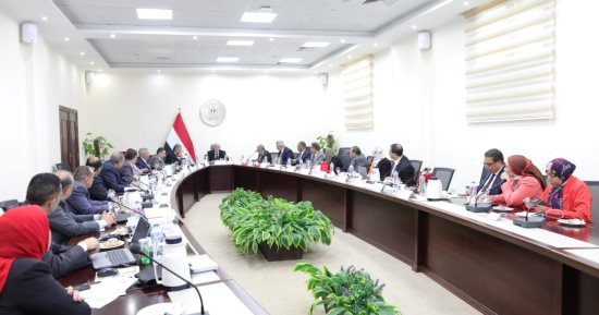 التعليم العالي: تشكيل لجان اختيار رئيس القومى للبحوث ورئيس مركز تطوير الفلزات