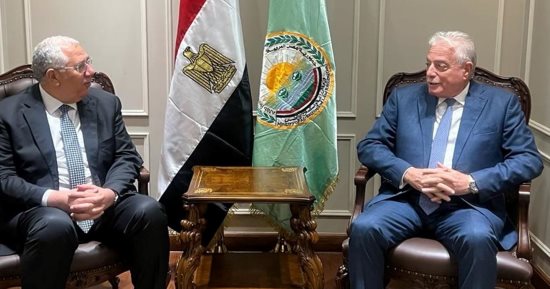 محافظ جنوب سيناء يبحث مع وزير الزراعة دعم الاستثمار الزراعى وتلبية احتياجات المواطنين