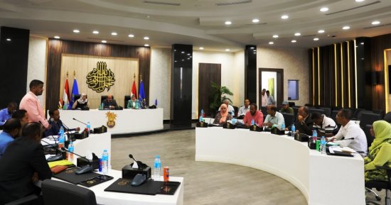 محافظ أسوان: دراسة لإقامة منطقة لوجستية للرخام والجرانيت