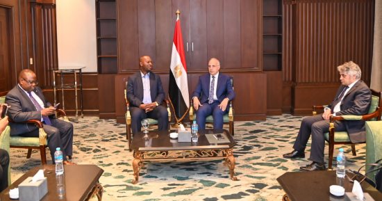 وزير الرى يلتقى نظيره لتنمية المياه والصرف الصحى بزامبيا