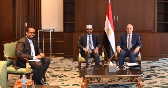 وزير الرى: وضع التدريب ضمن أولويات الدعم المصرى للصومال 