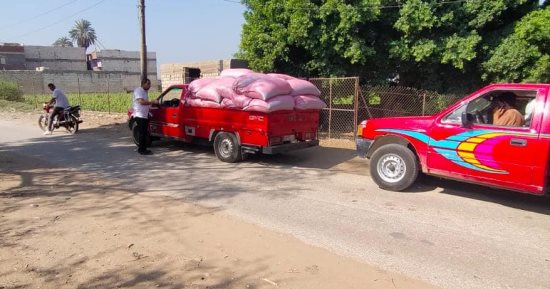 ضبط سيارتين محملتين بـ 5 أطنان قمح بدون ترخيص وتسليمها للمطاحن بالمنيا