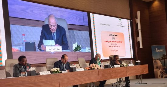 أبو الغيط يترأس أعمال لجنة التنسيق العليا للعمل العربى المشترك بتونس