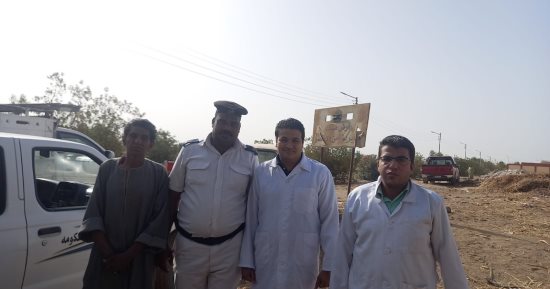 "الطب البيطرى" يتابع تحصين الماشية فى سوق الحبيل بالأقصر قبل عيد الأضحى.. صور