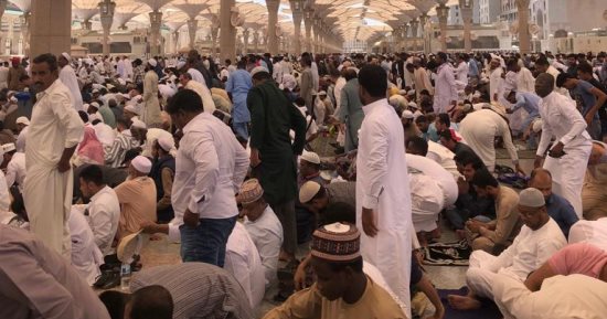 طلع البدر علينا من ثنيات الوداع.. تفويج الحجاج المصريين للمدينة المنورة وسهولة في إجراءات التسكين.. ضيوف الرحمن بحالة صحية جيدة ويترددون على الأماكن المقدسة.. خطيب المسجد النبوي: الأعمال الصالحة  تجارة رابحة