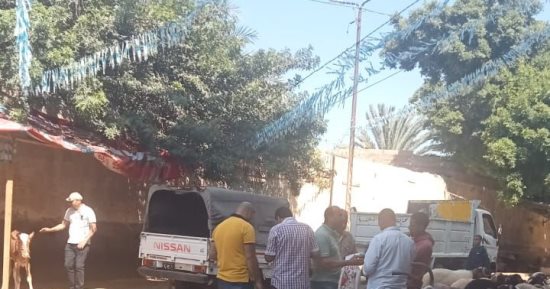 إزالة الخطورة الداهمة عن عقار قديم والتصدى لشوادر الأضاحى المخالفة بالإسكندرية
