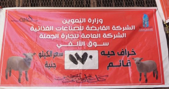 التموين تطرح خرافا حية للأضاحي بسعر 170 جنيها للكيلو القائم
