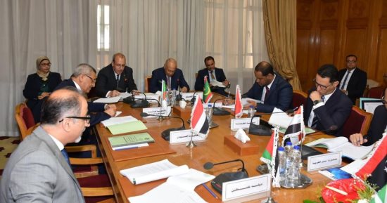 أبو الغيط يؤكد أهمية تعزيز التعاون العربى الأفريقى وعدم ترك الساحة لأطراف أخرى