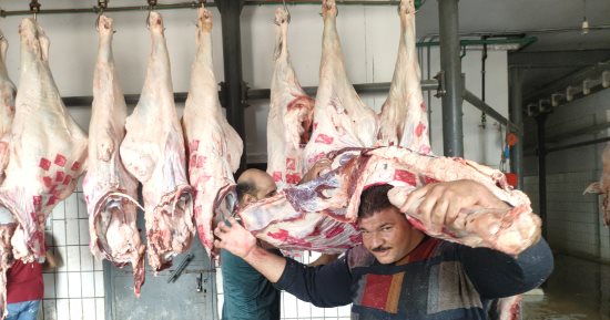 بيطرى قنا تحرر 14 محضرا "ذبح خارج المجازر الحكومية" قبل عيد الأضحى المبارك