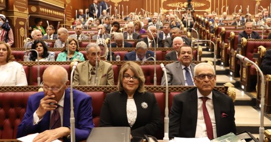 الحكومة لـ"الشيوخ": قريبا مشروع قانون للتعاون الزراعى يتوافق مع التحول الرقمى