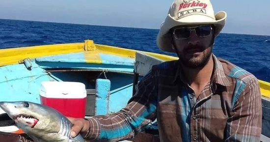 شواطئ الإسكندرية آمنة.. علوم البحار: أسماك القرش لا تخرج للشاطئ.. السياحة والمصايف: القرش لا يعيش فى المياه الضحلة.. وشيخ الصيادين: صيد أسماك القرش الصغيرة يتم على مسافة 3 ساعات من الشاطئ