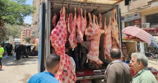 ضبط لحوم مذبوحة خارج المجازر خلال حملات مكثفة بأحياء الجيزة