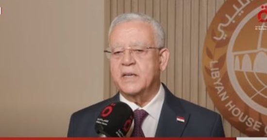 حنفي جبالى: زيارتنا لـ"النواب الليبى" أسفرت عن تشكيل لجنة صداقة دائمة بيننا