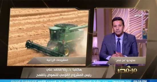 القومى للنهوض بالقمح: نستهدف الوصول لـ60% من الاكتفاء خلال عامين 