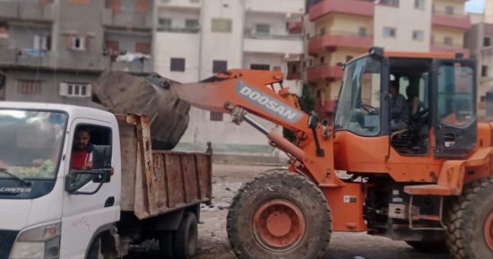 أعمال نظافة ورصف بالإنترلوك ومقاومة الحشرات الطائرة بمراكز كفر الشيخ