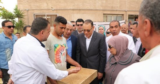 تموين الشرقية: تحرير 6 آلاف و837 مخالفة و11 ألف محضر للمخابز فى 5 أشهر