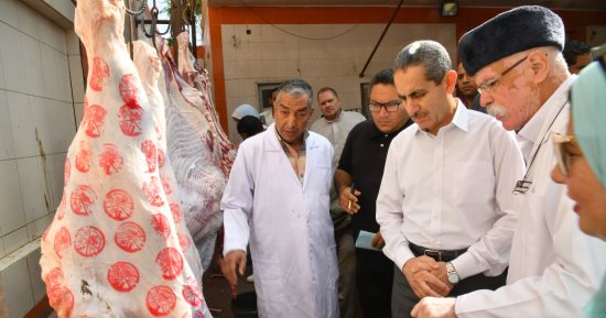 محافظ الغربية يتفقد مجزر السنطة استعدادًا لعيد الأضحى