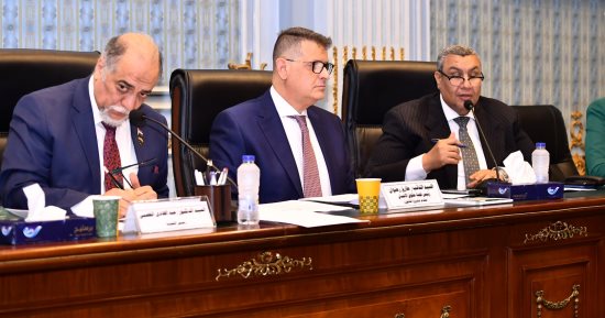 "تضامن النواب" توافق على مشروع قانون التحالف الوطنى للعمل الأهلى.. اللجنة: صاحب جهد ملموس على الأرض.. طارق رضوان: كانت هناك حاجة لتوحيد الجهود.. وبرلمانيون: نشهد طفرة كبيرة فى العمل الأهلى خلال السنوات الأخيرة