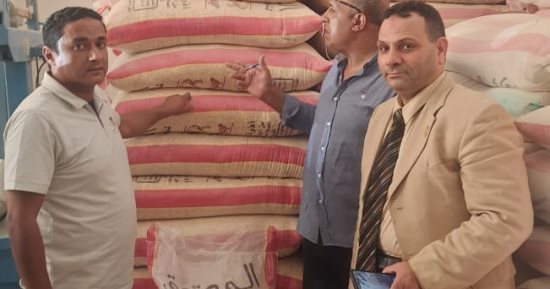 التحفظ على 3 أطنان ذرة مجروش مجهولة المصدر داخل مخزن أعلاف بالإسكندرية