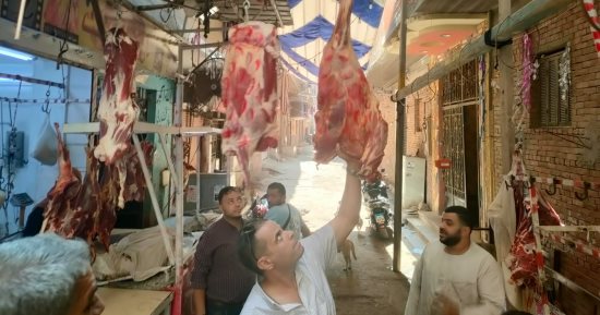 "تموين الإسماعيلية" يطرح لحومًا فى المجمعات الاستهلاكية بسعر 160 جنيها للكيلو
