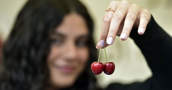 فعاليات كرنفال الكرز فى جبل لبنان