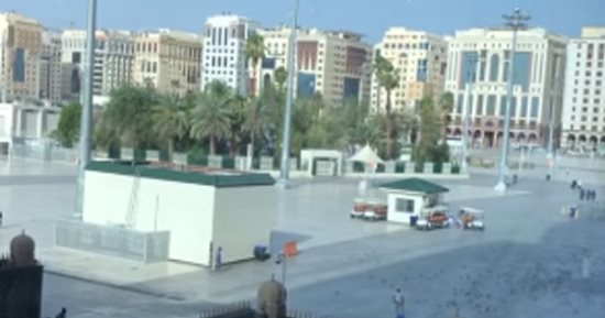 الحجاج يلتقطون صوراً مع حمام الحما بمحيط الحرم النبوي (فيديو)