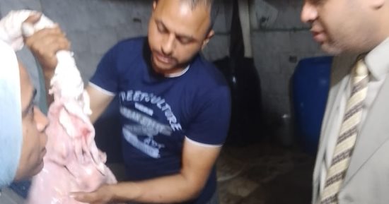 قبل عيد الأضحى.. تحرير 84 محضرا خلال حملات جهاز حماية المستهلك خلال أسبوعين بالإسكندرية 
