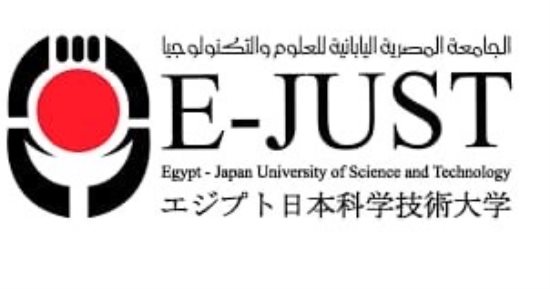 تأثير التكنولوجيا المالية على القطاع المصرفى المصرى فى مشروع تخرج