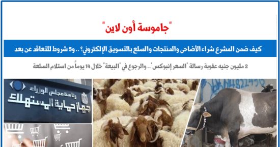 جاموسة أون لاين.. كيف ضمن المشرع شراء الأضاحى بالتسويق الإلكترونى؟.. برلماني