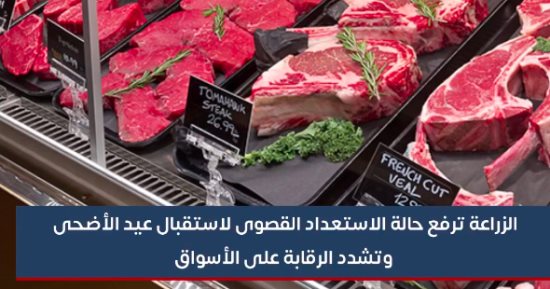 استعدادات وزارة الزراعة لاستقبال أيام عيد الأضحى.."فيديو"