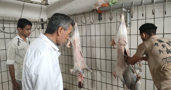 مجازر المحافظات جاهزة للأضاحى خلال أيام التشريق.. الأقصر توفر مستلزمات المجازر وتمنع الإجازات.. فتح المجزر الآلى بالعريش مجانا.. مدير مجزر بالإسكندرية يكشف طرق اختيار الأضحية.. والدقهلية تستعد للعيد بـ24 مجزرا