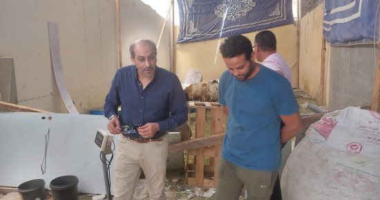 وكيل تموين الأقصر يتفقد معارض المديرية وشادر اللحوم.. صور