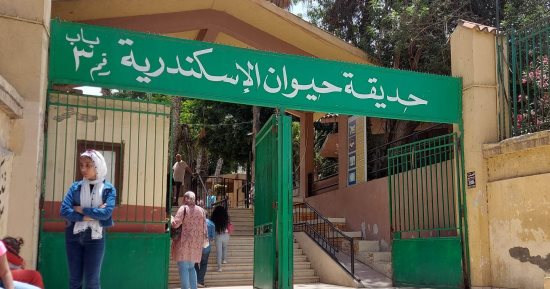هتقضى العيد فين؟.. 5 حدائق بالإسكندرية تستقبل الأهالى.. الأسعار تتراوح بين 5 و25 جنيها للفرد ودخول الشلالات مجانا.. حديقة الحيوان فسحة متكاملة.. لا تفوت زيارة حدائق "أنطونيادس".. وحدائق ملكية بالمنتزة.. صور  