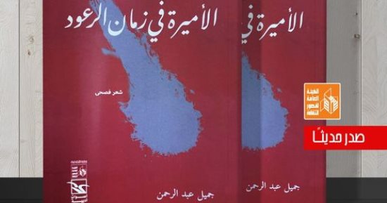 هيئة قصور الثقافة تصدر ديوان "الأميرة فى زمان الرعود" للشاعر جميل عبد الرحمن