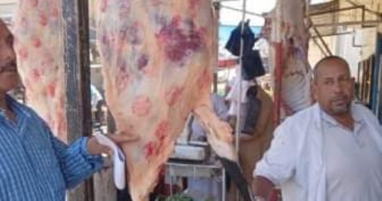 تحرير محاضر لذبح الأضاحى خارج المجازر فى محافظة الشرقية