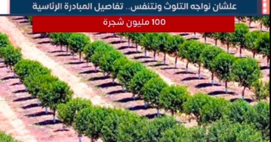 تفاصيل المبادرة الرئاسية "100 مليون شجرة" .. فيديو