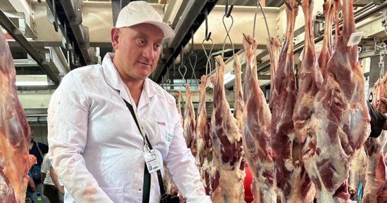 "الزراعة": بعثة الأطباء البيطريين المصريين تبدأ الكشف على الأضاحى بمجازر منى