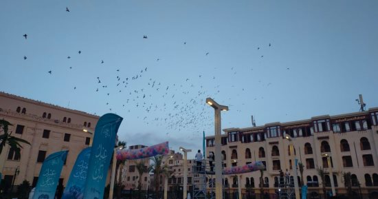 أسراب الحمام تحيط بالمصلين في مسجد الحسين أثناء صلاة عيد الأضحى.. فيديو وصور