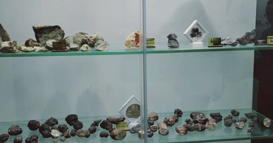 المتحف الجيولوجي بكلية العلوم بجامعة الفيوم كنز علوم الأرض.. يضم 1250 عينة متنوعة.. ينفرد بعرض نماذج من العينات الخاصة بالمعادن والصخور والحفريات المحلية والعالمية.. ويستقبل طلاب الجامعات ورحلات المدارس.. صور