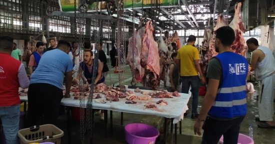 إقبال كبير على مجزر البساتين لذبح الأضاحى فى أول أيام العيد.. صور