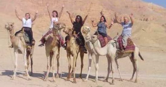 السياح يستمتعون برحلات الفجر والعصارى فى سفارى الجمال والخيول بالأقصر.. صور
