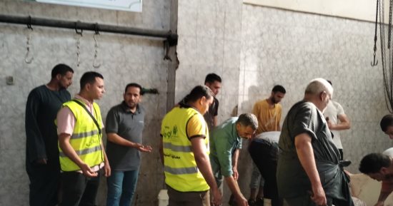 ذبح 28 رأس ماشية فى أشمون وتوزيعها على المواطنين خلال عيد الأضحى
