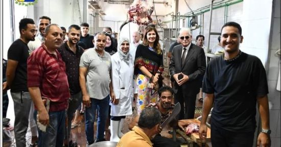 محافظ جنوب سيناء يشهد ذبح 32 عجلا وتوزيعهم على الأهالى بالمجان.. صور